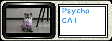 Psycho Cat
